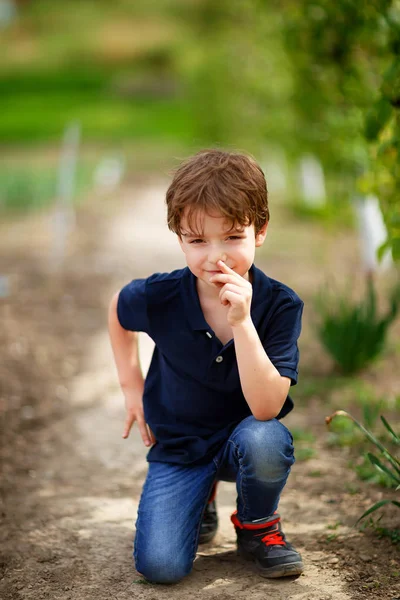 5 year old outdoor in orchard Stock Picture