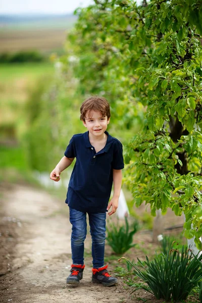 5 år gammal utomhus i Orchard Royaltyfria Stockbilder