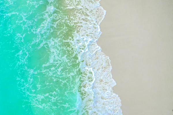ヤシと熱帯のビーチ — ストック写真
