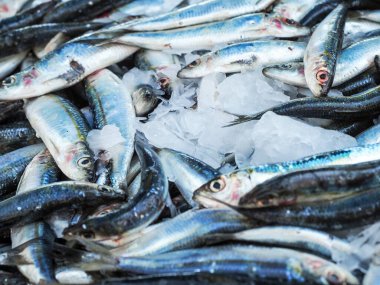 Balık pazarı balık dokusu arka planında