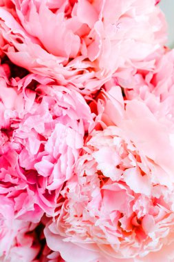 Güzel şakayık çiçekleri arka plan, pembe ve beyaz şakayık arka plan