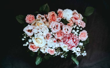 Taze parlak şakayık çiçekleri yapraklarına çiy damlaları düşer. Pembe tomurcuk çiçek açan şakayık çiçekleri yakın plan. Düğün arkaplanı, Sevgililer Günü konsepti. Doğum günü buketi, hediye demeti.