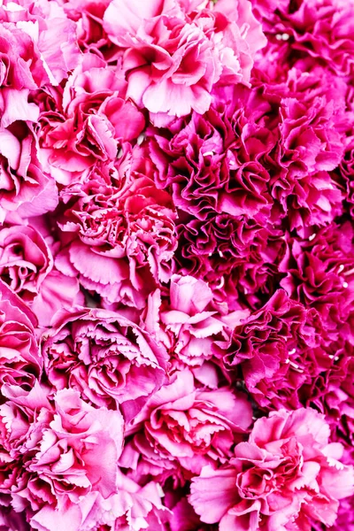 Красивые Пионы Цветы Фон Розовый Белый Пионы Фон — стоковое фото