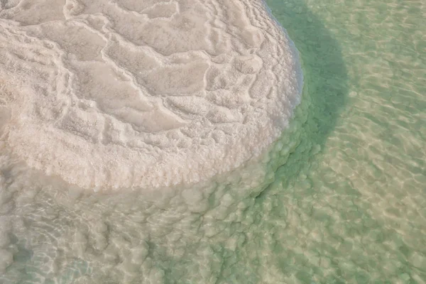 stock image Dead Sea. Salt at the bottom of the Dead Sea