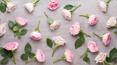 Çiçekler sevgililer günü kompozisyonu. GR üzerindeki pembe gülden yapılmış çerçeve