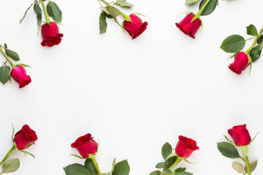 Çiçek kompozisyon. Beyaz zemin üzerine kırmızı gül çerçeve yapılmış.
