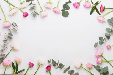 Beyaz bir arka plan üzerinde güzel renkli tipik çiçekler. Sprin