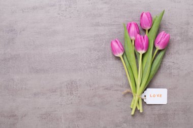 Bahar tebrik kartı, gri arka plan üzerinde pembe renk laleler.