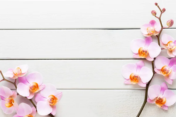 Flor de orquídea sobre fondo pastel de madera. Spa y bienestar —  Fotos de Stock