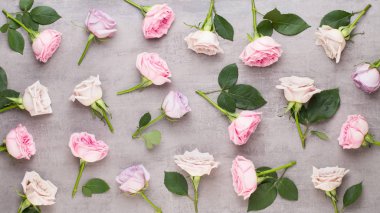 Çiçekler sevgililer günü kompozisyonu. GR üzerindeki pembe gülden yapılmış çerçeve