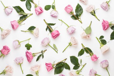 Çiçekler sevgililer günü kompozisyonu. GR üzerindeki pembe gülden yapılmış çerçeve