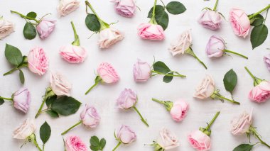 Çiçekler sevgililer günü kompozisyonu. GR üzerindeki pembe gülden yapılmış çerçeve