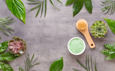 El yapımı biyo-kozmetik ve kaktüs kompozitli spa arka planı