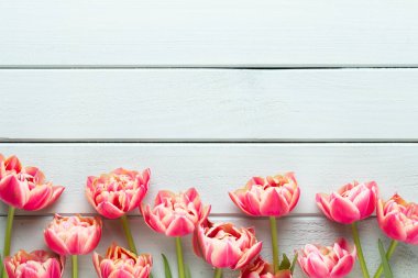 Pastel arka planda bahar çiçekleri laleleri. Retro vintage