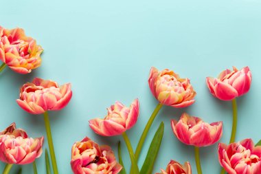 Bahar çiçekleri, pastel renkler zemin üzerine lale. Retro vintag