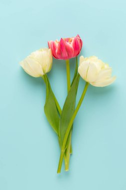 Pastel arka planda bahar çiçekleri laleleri. Retro vintage