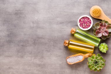 El yapımı biyo-kozmetik ve kaktüs kompozitli spa arka planı