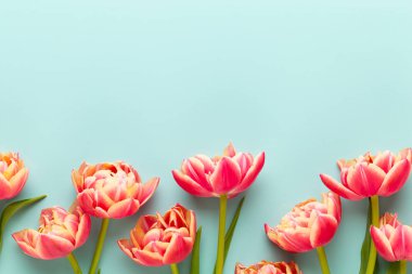 Bahar çiçekleri, pastel renkler zemin üzerine lale. Retro vintag