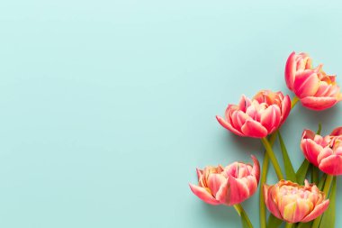 Bahar çiçekleri, pastel renkler zemin üzerine lale. Retro vintag