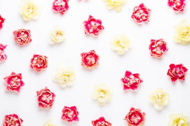 Pastel arka planda bahar çiçekleri laleleri. Retro vintage