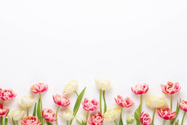 Pastel arka planda bahar çiçekleri laleleri. Retro vintage