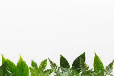 Bio bitkisel yeşil kozmetik düzenleme, deniz tuzu ve el yapımı çünkü