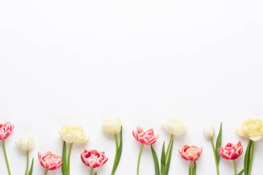 Pastel arka planda bahar çiçekleri laleleri. Retro vintage