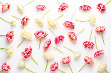 Pastel arka planda bahar çiçekleri laleleri. Retro vintage