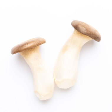 istiridye mantar beyaz zemin üzerine Kral.