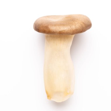 istiridye mantar beyaz zemin üzerine Kral.