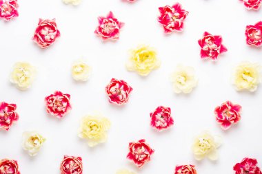 Pastel arka planda bahar çiçekleri laleleri. Retro vintage