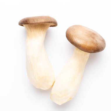 istiridye mantar beyaz zemin üzerine Kral.