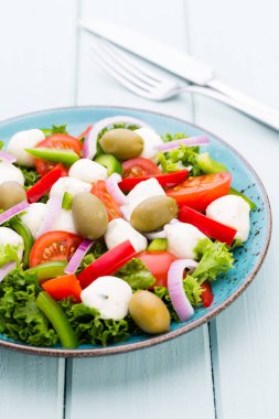 Sebze salatası peynir Mozzarella peyniri, domates, basilikum ve 