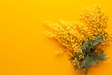 Sarı arka planda sarı çiçek deseni. Bahar selamlaması c