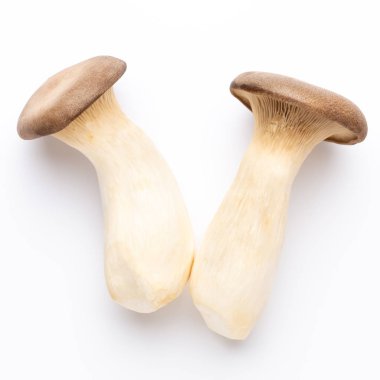 istiridye mantar beyaz zemin üzerine Kral.