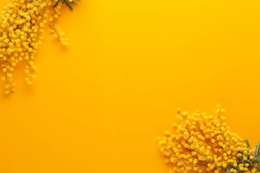 Sarı arka planda sarı çiçek deseni. Bahar selamlaması c