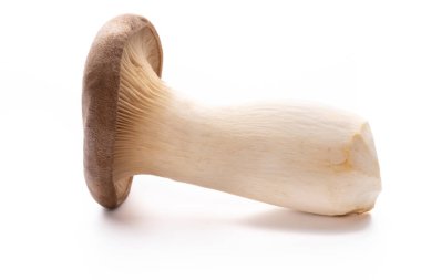 istiridye mantar beyaz zemin üzerine Kral.