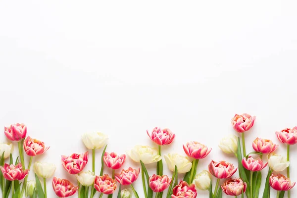 Spring flowers tulips on pastel colors background. Retro vintage — Stock Photo, Image