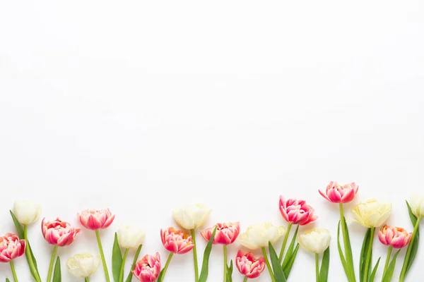 Spring flowers tulips on pastel colors background. Retro vintage — Stock Photo, Image