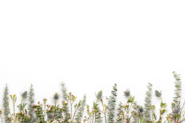 春のグリーティングカード、白のパステルカラーのガーベラの花 — ストック写真