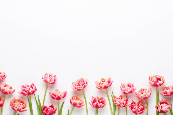 Весенние цветы тюльпаны на фоне пастельных цветов. Ретро-винтаж
