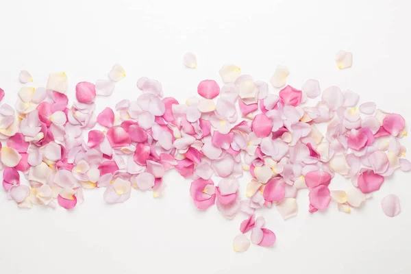 Fleurs roses pétales de rose sur fond blanc. Couché plat, vue du dessus — Photo