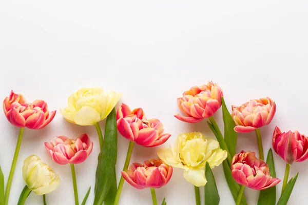 봄 꽃, 튤립 파스텔 색상 배경입니다. 레트로 게임 — 스톡 사진
