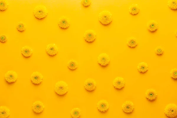 Gelbe Blütenmuster auf gelbem Hintergrund. Frühlingsgruß — Stockfoto