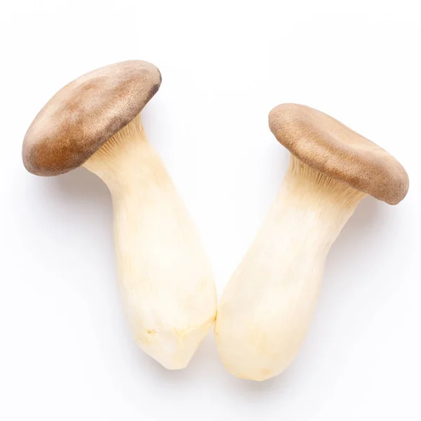 King oyster mushroom on white background. — Stock Photo, Image