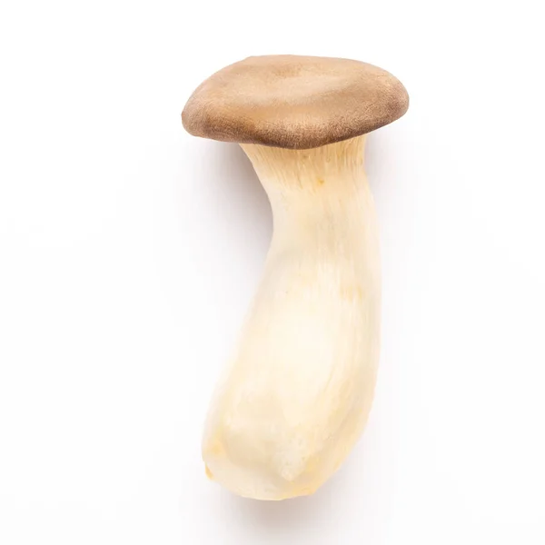 King oyster mushroom on white background. — Stock Photo, Image