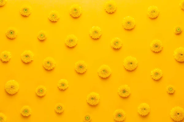 Yellow flower pattern on a yellow background.  Spring greeting c