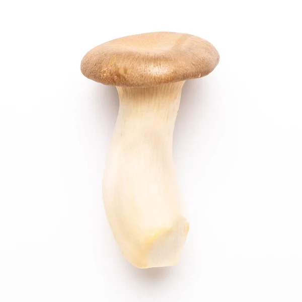 King oyster mushroom on white background. — Stock Photo, Image