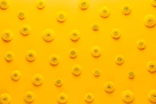Gelbe Blütenmuster auf gelbem Hintergrund. Frühlingsgruß — Stockfoto