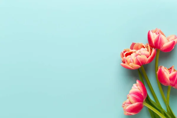 春天的花, 郁金香在柔和的颜色背景。复古葡萄酒标签 — 图库照片